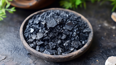 Top 10 Chinese Manufacturers of Green Petroleum Coke at the 137th Canton Fair
